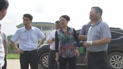 省环保厅厅长吕文艳来孝督导汛期重点环境保护工作
