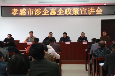 孝感市涉企惠企政策宣讲会