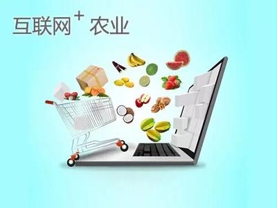 市人大常委会专题调研 “互联网+农业”工作情况