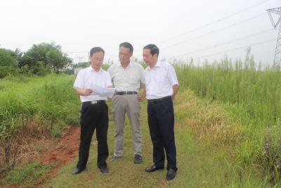 市粮食局局长刘青峰到对口帮扶村 指导抗灾保发展工作 