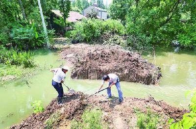 抢排积水让村民早日返家