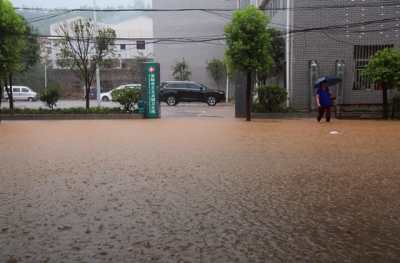 一切为了群众身心健康——安陆市卫计系统防汛抗灾侧记