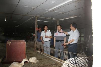 孝感市畜牧兽医局局长廖桂洲到汉川调研灾后畜牧业生产情况