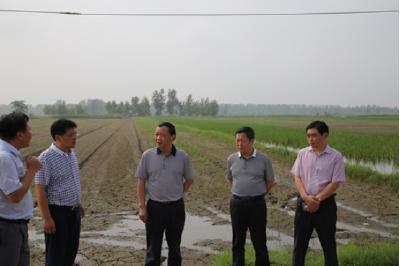 省水产局局长李胜强来孝调研指导渔业灾后复产工作