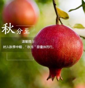 市委政研室到精准扶贫驻点村研究脱贫致富计划