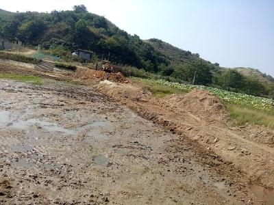 大悟以点带面提前拉开秋冬渔业开发序幕