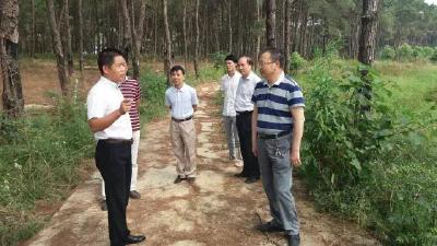 廖桂洲同志到应城调研野山猪养殖项目