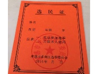 孝南区人大代表换届选举投票