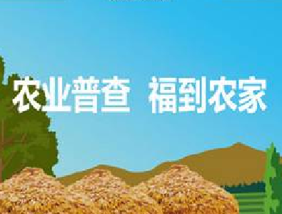 湖北省第三次全国农业普查公告