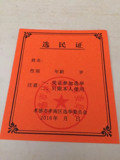 市领导参加所在选区人大代表选举