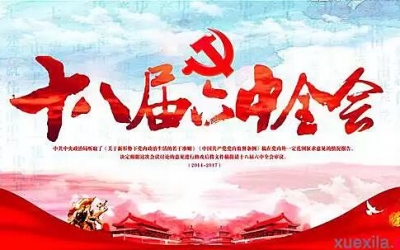 习近平：全面贯彻党的十八届六中全会精神