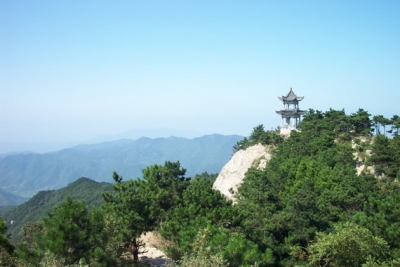 张志敏到双峰山检查工作