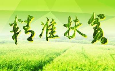 戴杰群到联系点调研精准扶贫工作