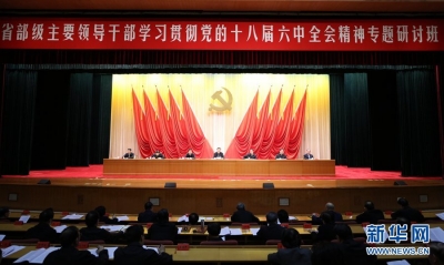 习近平：推动党的十八届六中全会精神落到实处