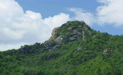 王世荣到双峰山上湾村调研
