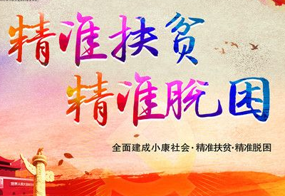 吴婕到孝南调研督办精准扶贫工作