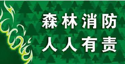大悟打响清明节期间森林防火攻坚战