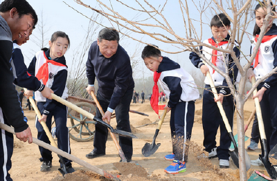 习近平：把造林绿化事业一代接着一代干下去