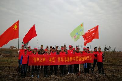 团市委组织青年志愿者义务植树