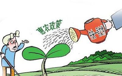 云梦启动农民负担及惠农资金检查