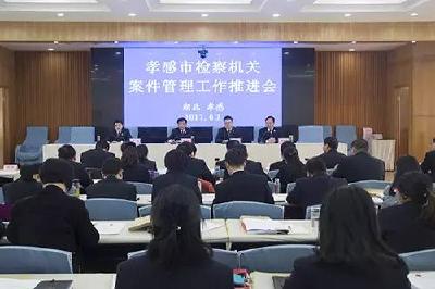 聚焦目标添动力 案管春天展新颜