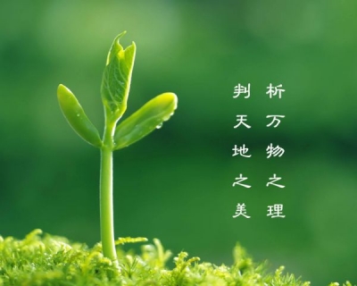 本周多云唱“主角” 植树节春雨润澴城