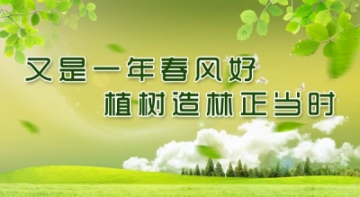 市领导参加义务植树活动