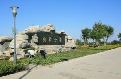 叶华调研督办城区园林绿化建设