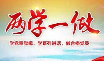 孝南探索 “两学一做”学习教育长效机制