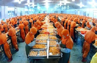 汉川农产品加工业产值突破700亿 