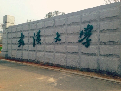 我市赴武汉招引大学生实习实训