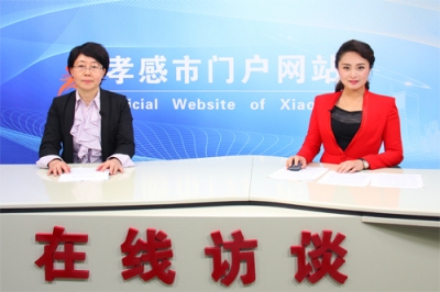孝感市国土资源局副局长胡华做客《在线访谈》
