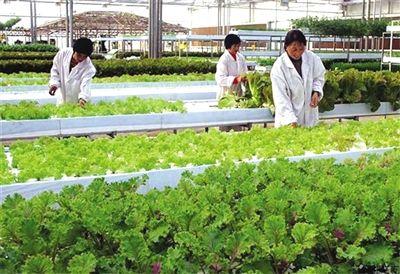 我市加快农业科技成果转化