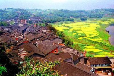 全市美丽乡村“一线一点”建设现场推进会召开