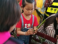 【图集】温馨端午　快乐六一