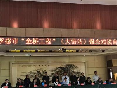 孝感市“金桥工程”银企对接会走进大悟