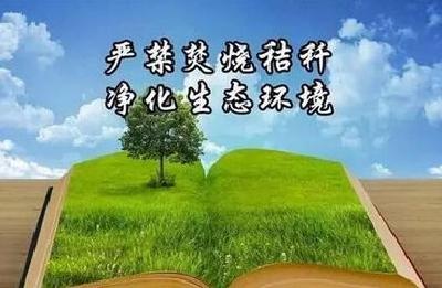 东山头多措并举抓秸秆禁烧