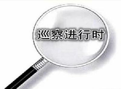 应城强力推进巡察工作