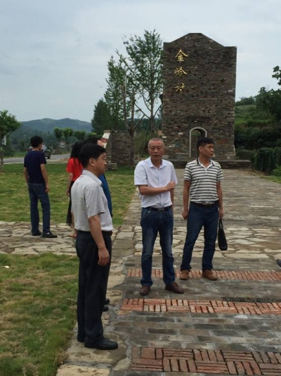 省国土整治局王远燃到大悟开展土地整治建设损害群众利益突出问题专项治理督查