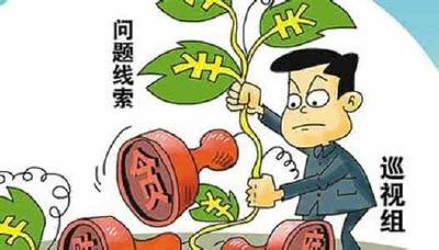 我市7个交叉巡察组完成进驻