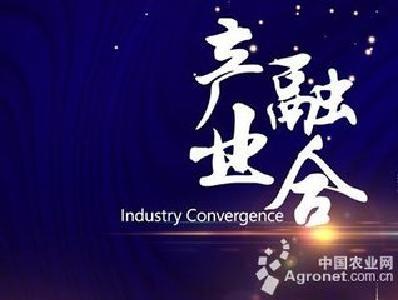 我市4个乡荣获全省农村产业融合发展试点示范称号
