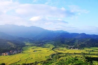 大悟县拉练督办重点项目建设