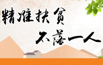 安陆为精准扶贫整村推进项目“体检”