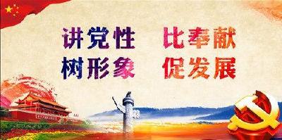 安陆构建“党建+公益”志愿服务新模式