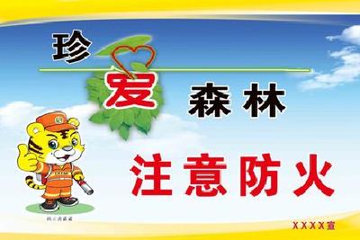 全省森林防火工作电视电话会议召开