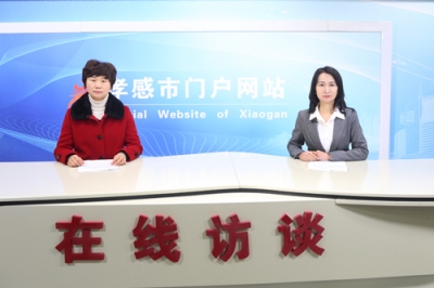 孝感市物价局副局长高红艳做客《在线访谈》