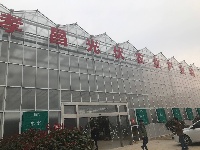 【网络媒体走转改】孝感市网络媒体新春走基层活动之孝昌光伏农业产业园