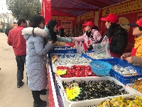 【网络媒体走转改】孝感市网络媒体新春走基层活动之湖北神丹健康食品有限公司