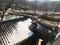 【网络媒体走转改】孝感市网络媒体新春走基层活动之大悟县金岭村