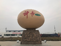 【网络媒体走转改】孝感市网络媒体新春走基层活动之湖北神丹健康食品有限公司